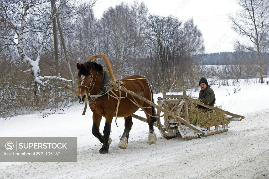 Russia, horse sledge