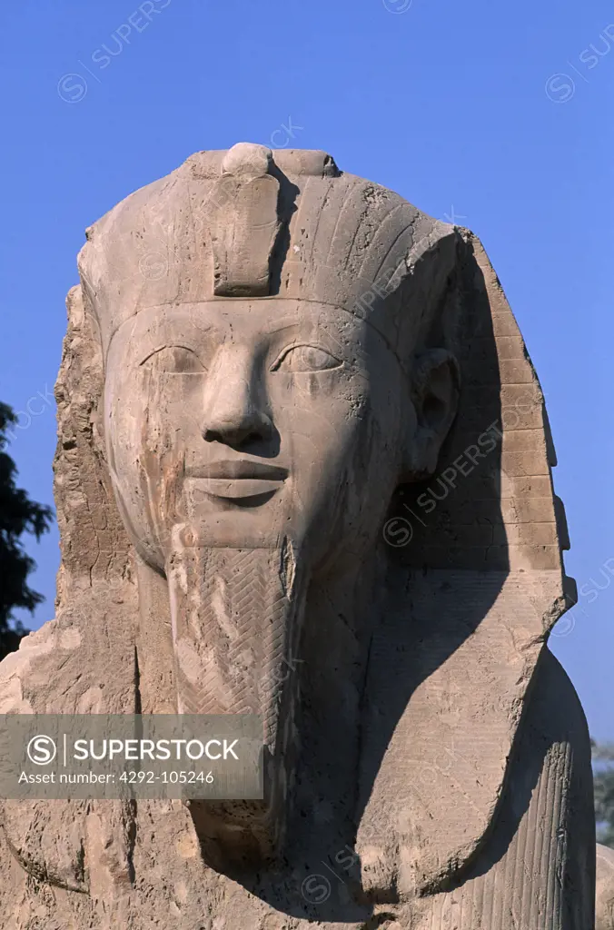 Statue of pharaoh Ramses II, Memphis, Egypt