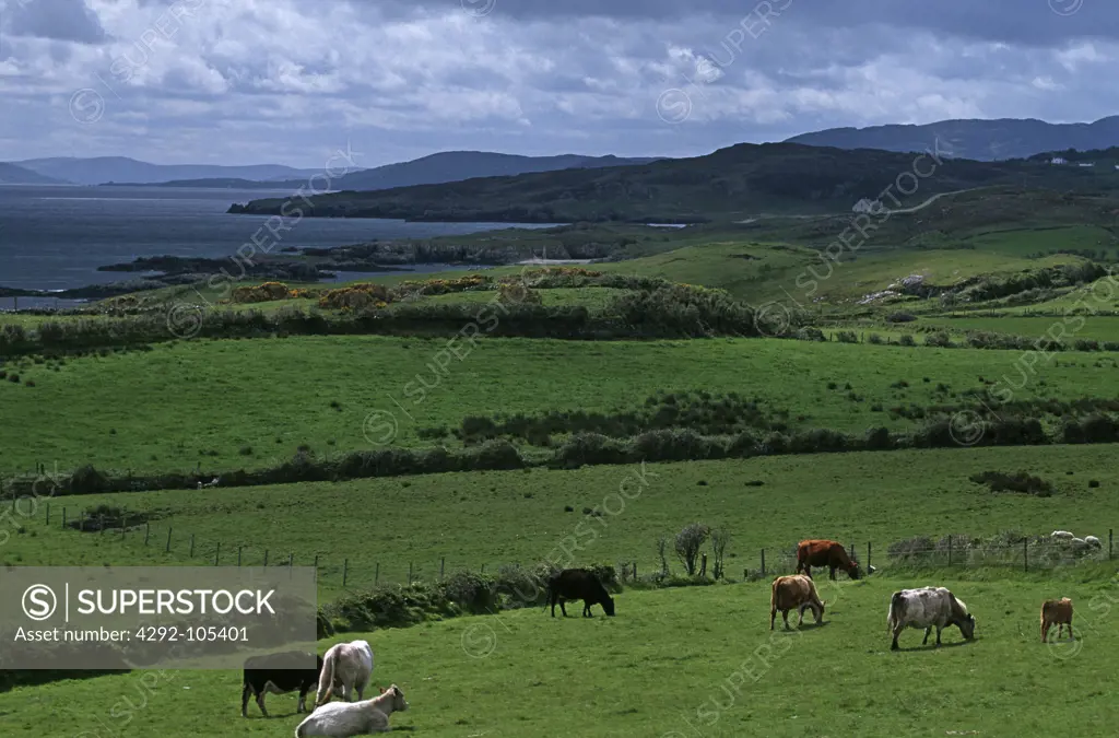 Ireland, Donegal,Fanad Peninsula