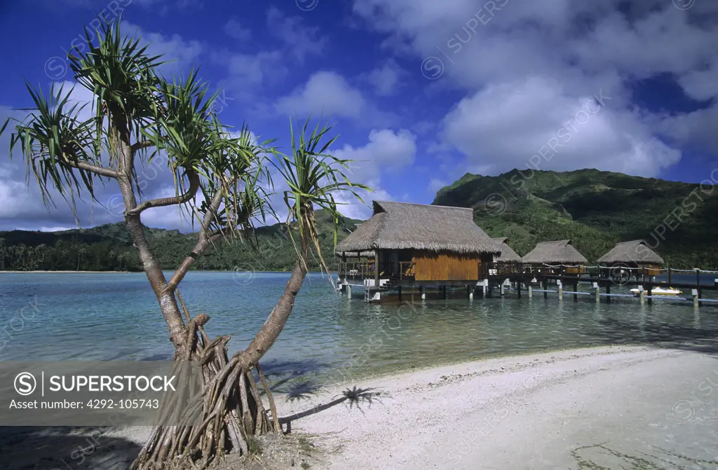 Polynesia, French Polynesia, Huahine: Sofitel Heiva hotel