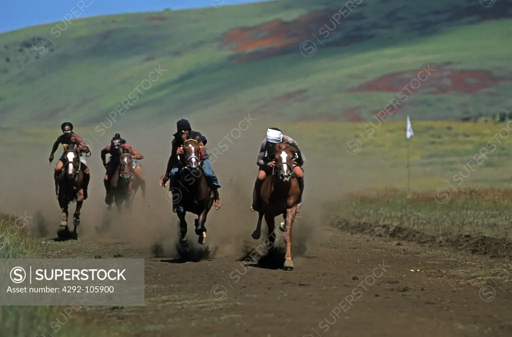 South America,Chile, Easter Island, Rapa Nui Festival, race horse