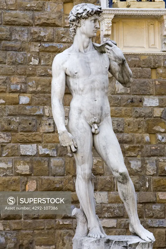 Italy,Tuscany, Florence. David Statue, Piazza della Signoria