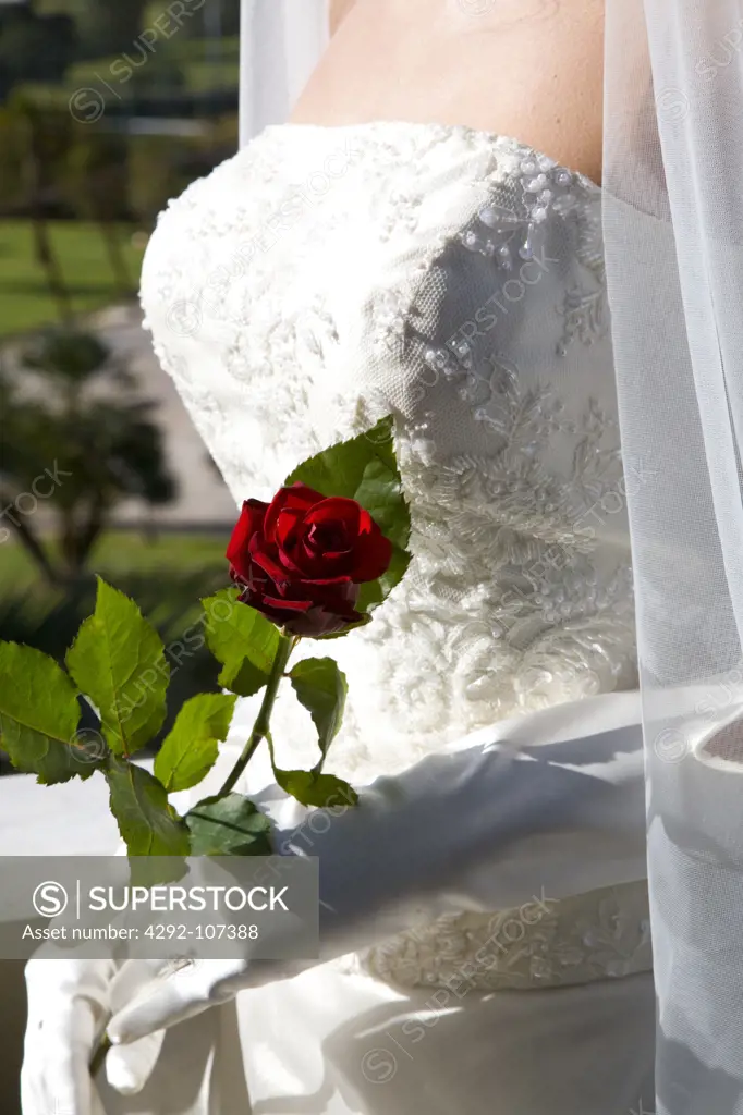 Bride holding a red rose