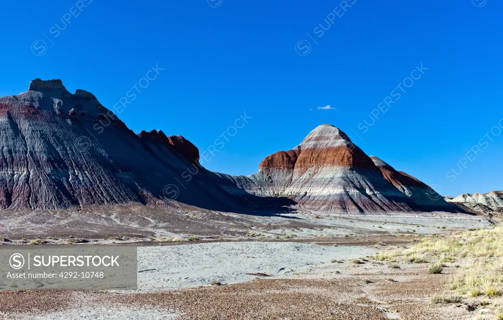 USA, Arizona, Petrified forest, Painted Desert National Park