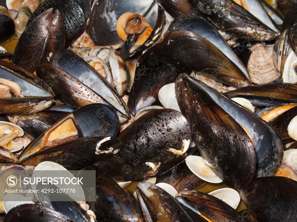 Mussels (italian receipe, cozze in guazzetto)