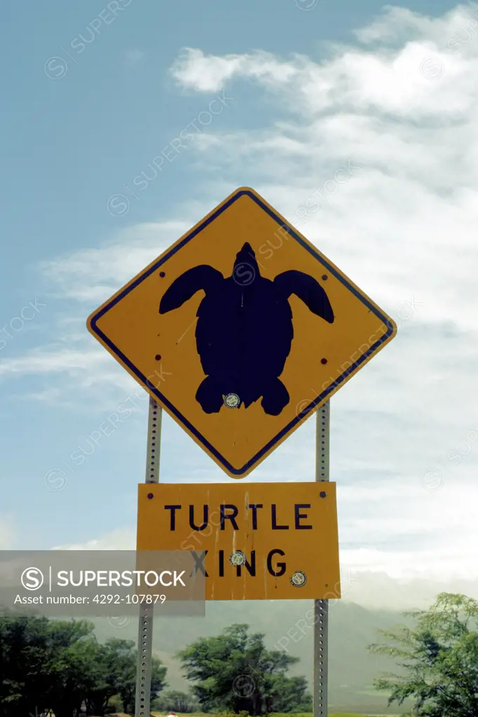 USA, Hawaii Island, Maui, Makena, Big Beach, Turtle Sign.