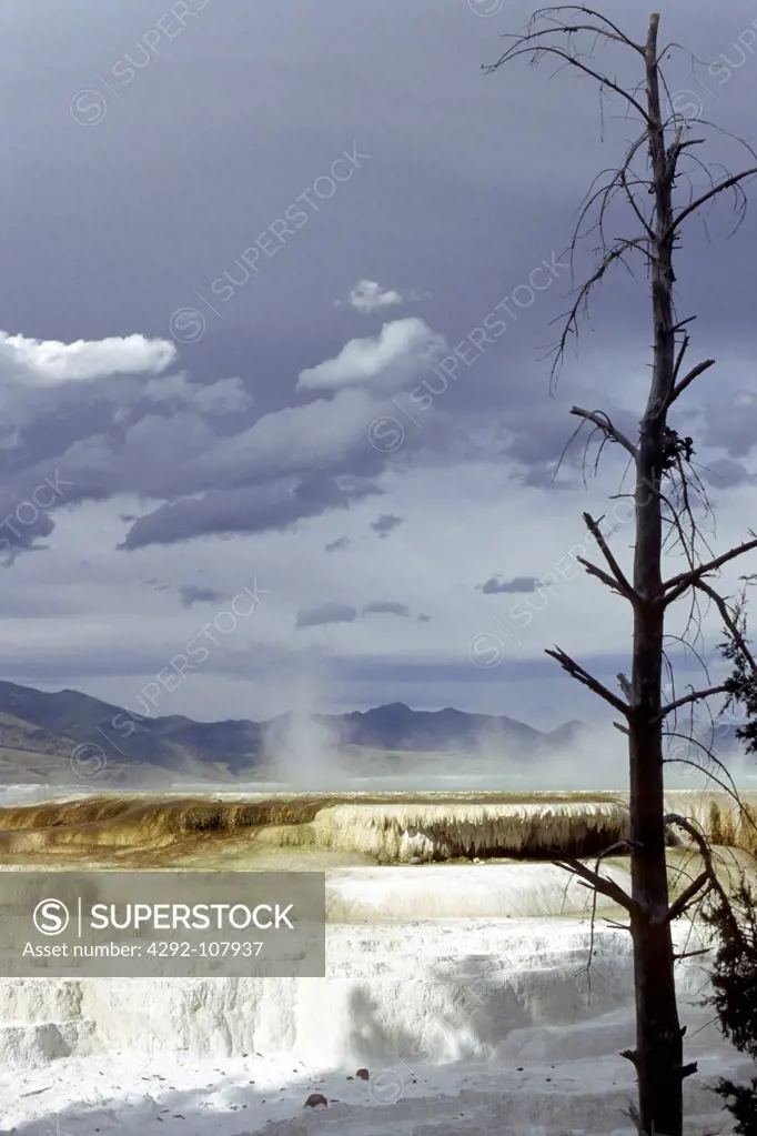 USA, Wyoming, Yellowstone National Park. Mammoth Hot Springs, Lower terraces