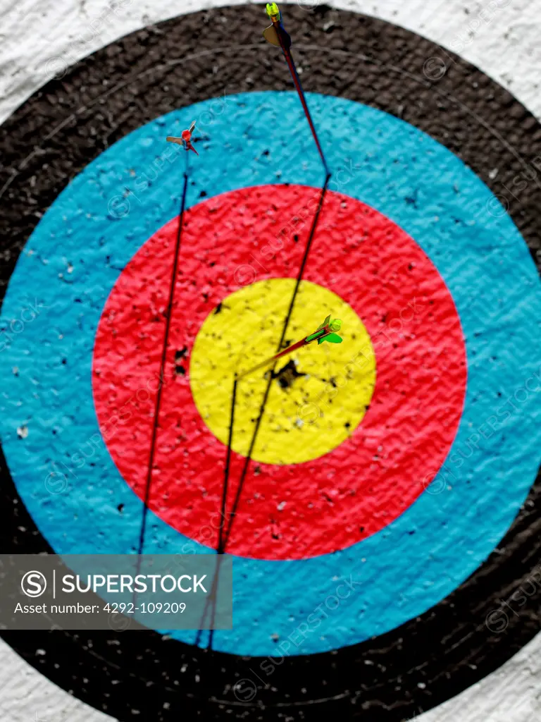 Target with arrows