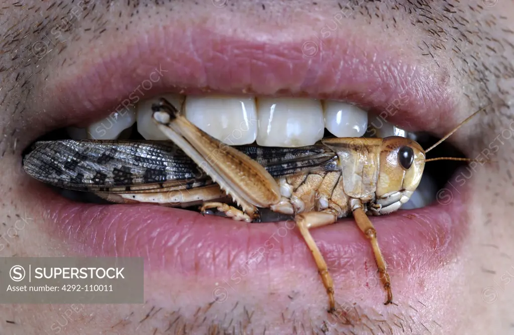 Man with grasshopper in the mouth