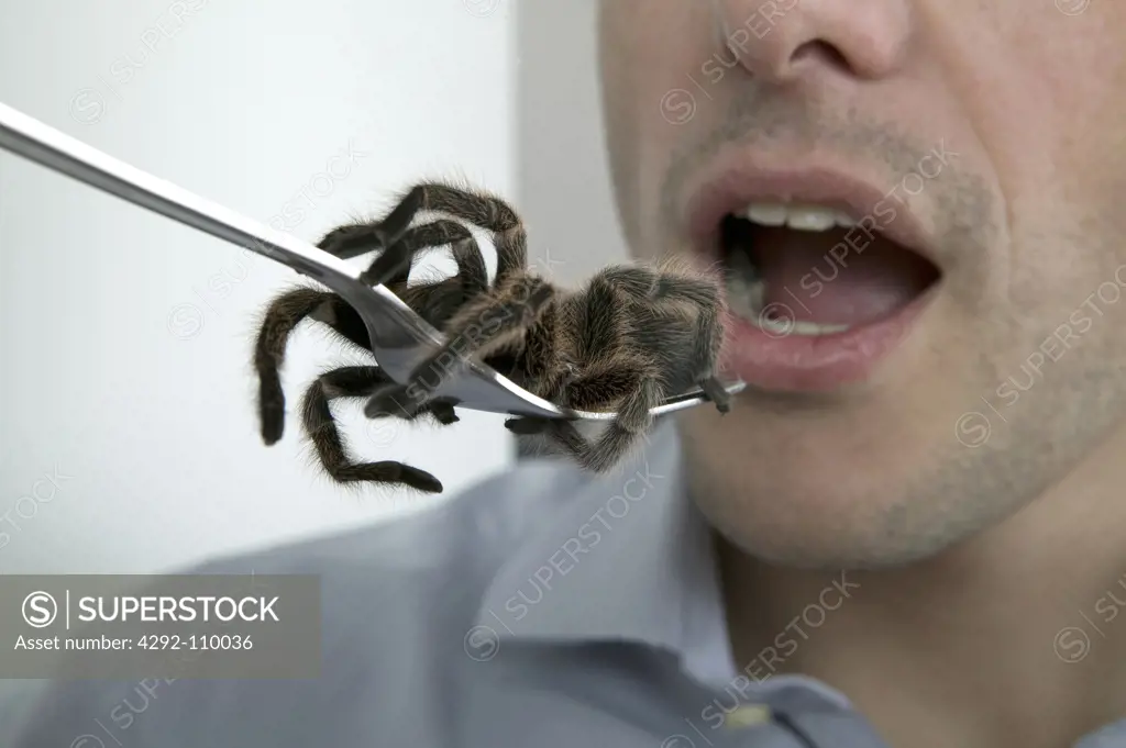Man eating tarantula