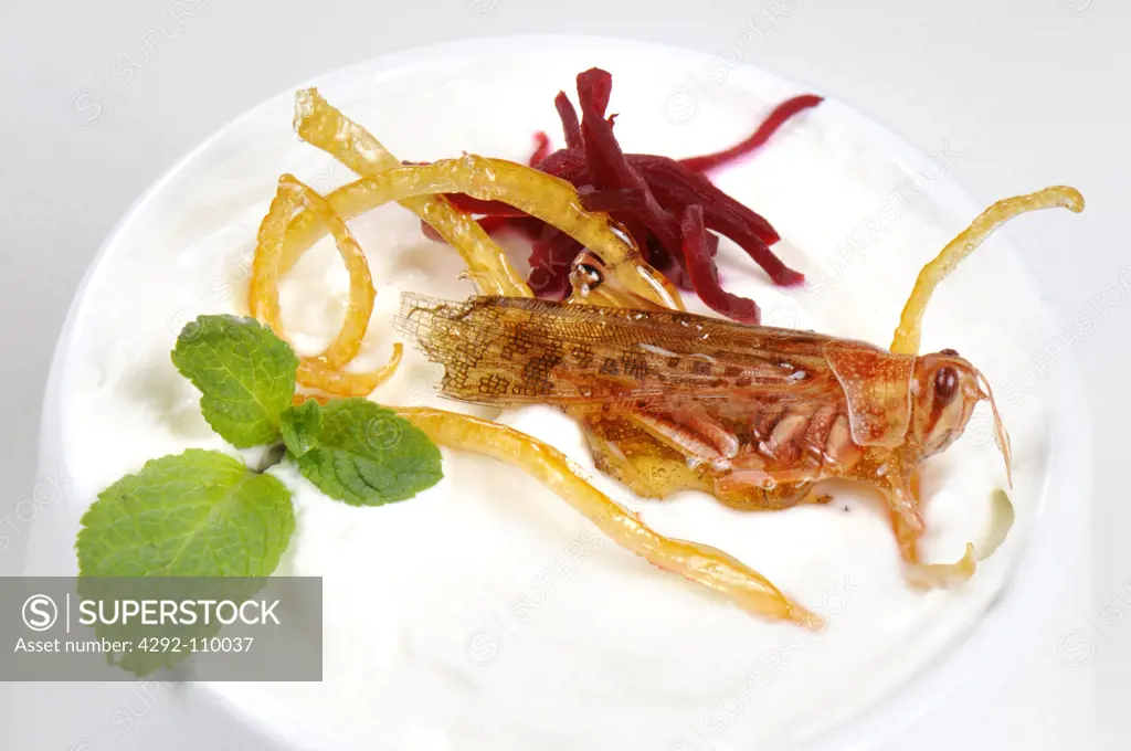 Caramelized grasshoppers on yogurt, with mint and beets