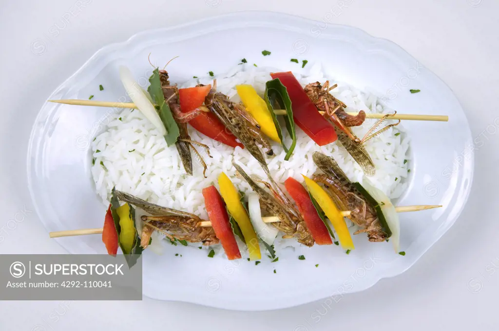 Spears of grasshoppers and vegetables and boiled basmati rice