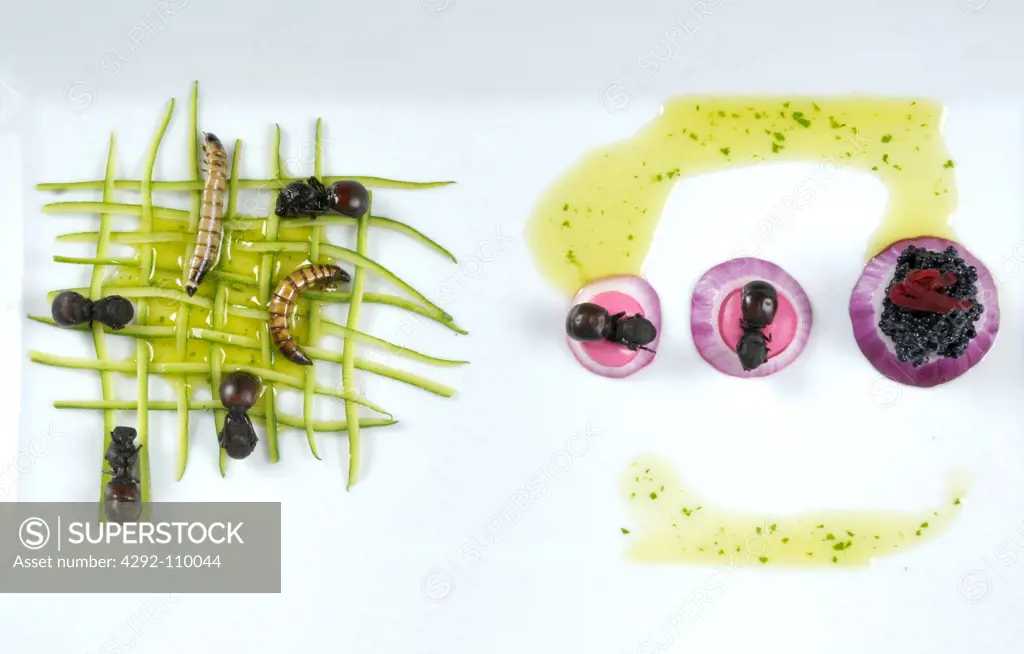 Zucchini with superworms and toasted giant ants and giant toasted ants on  beet and onion cream