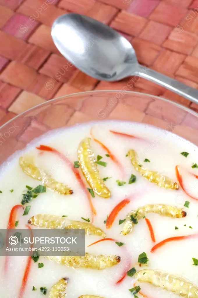 Potato soup with wax moth larvae