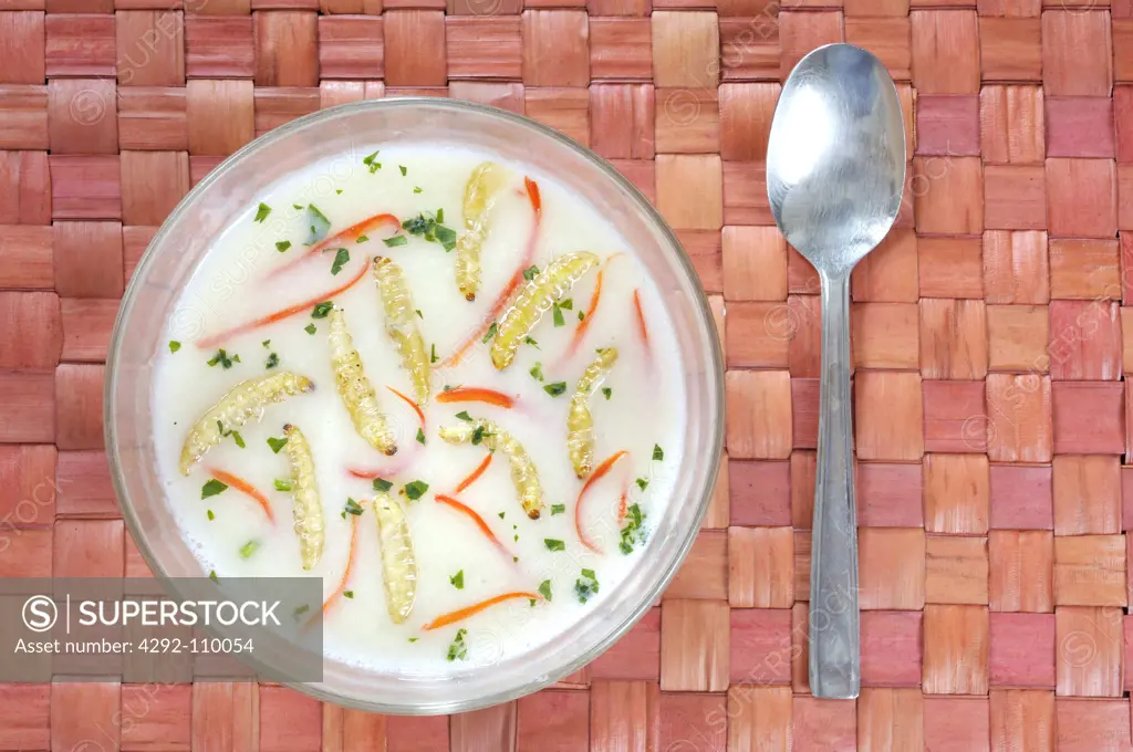 Potato soup with wax moth larvae