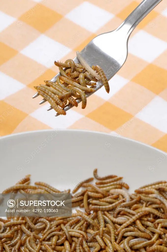 Mealworms plate
