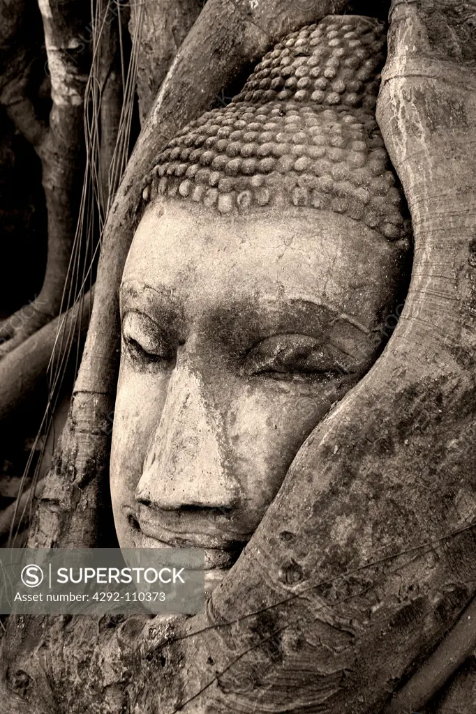 Thailand. Ayutthaya. Budha's stone head at temple Wat Phra Mahathat