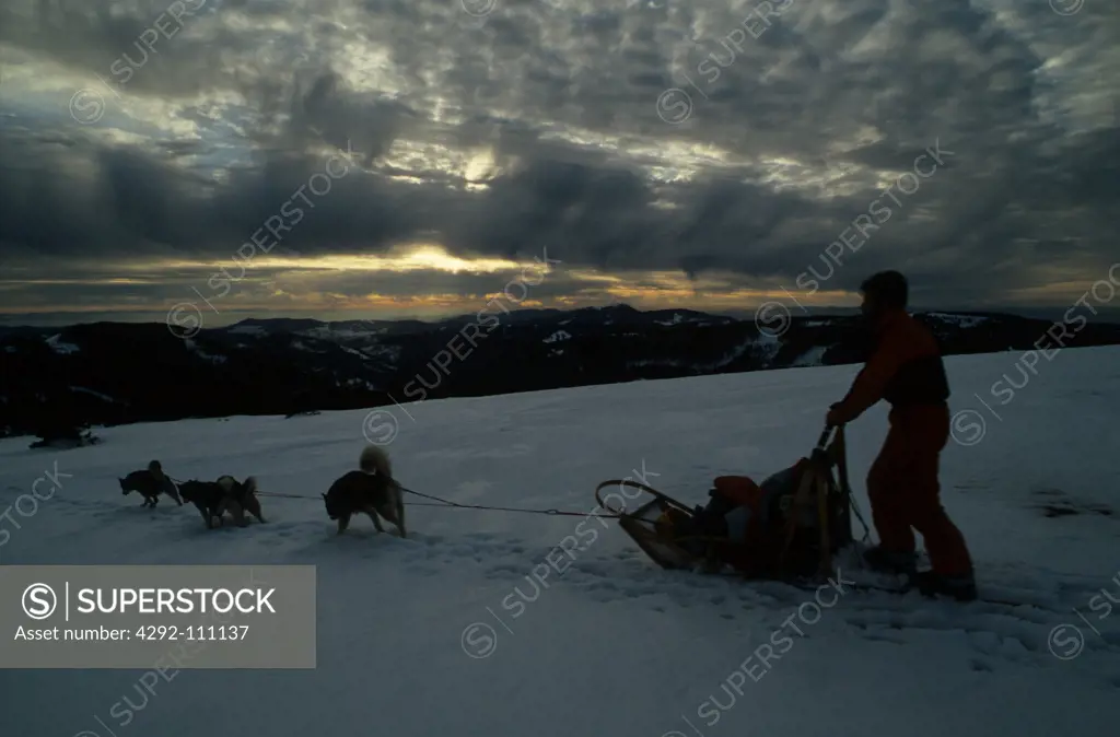 Canada, Arctic scene with dog sledding