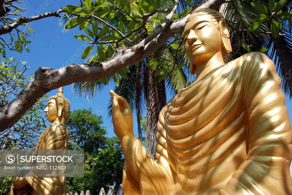 Laos, Luang Prabang, Golden Statues of Buddha in the Garden of Wat Xieng Muan Temple.