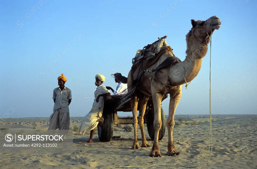 India, people with camel in Thar desert