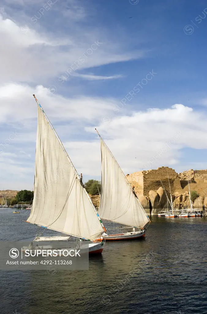 Egypt. Aswan, the Nile river
