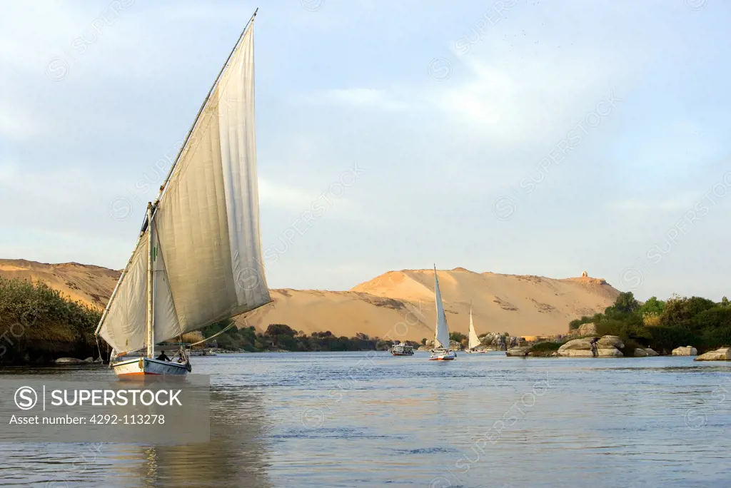 Africa, Egypt, Aswan, feluccas sailing on the Nile river
