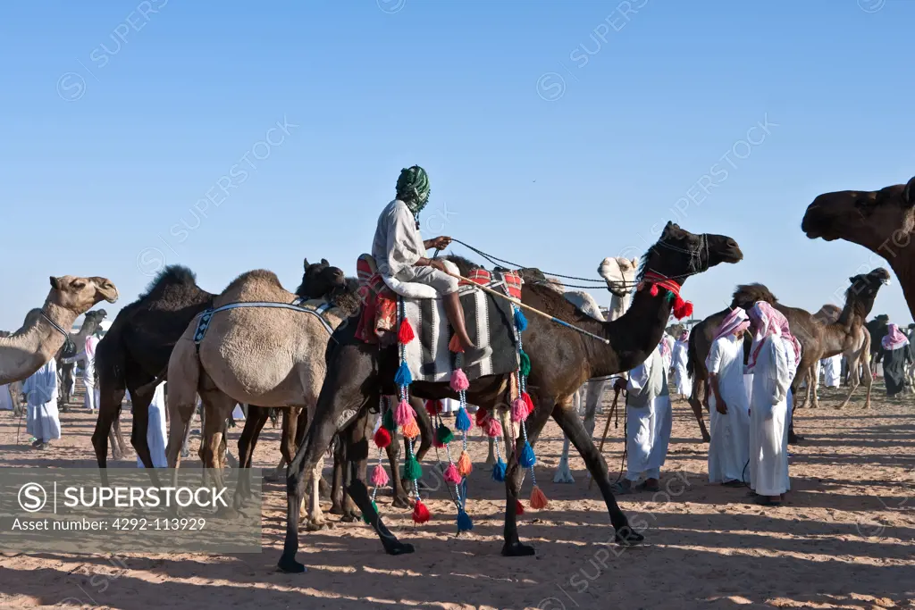 Saudi Arabia, Riyadh, camel market in Souq Al Jamal