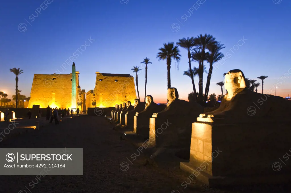 Egypt, Luxor, Temple of Luxor at night