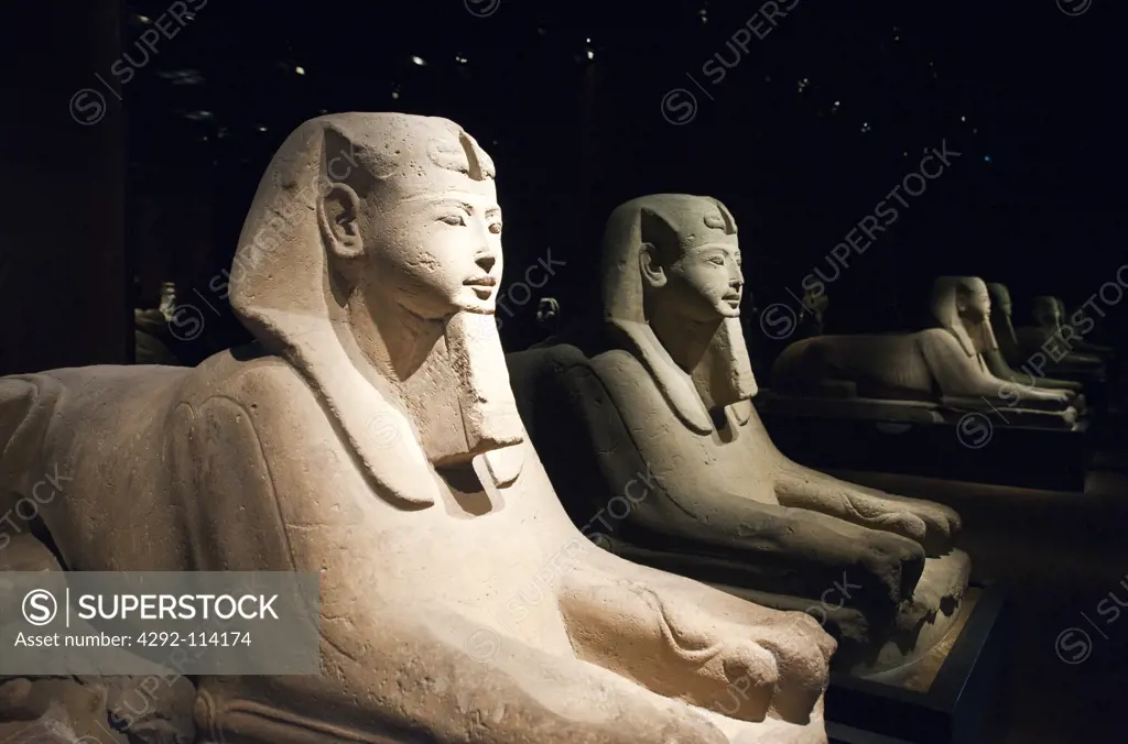 Italy, Piedmont, Turin, Egyptian Museum, sphinx room