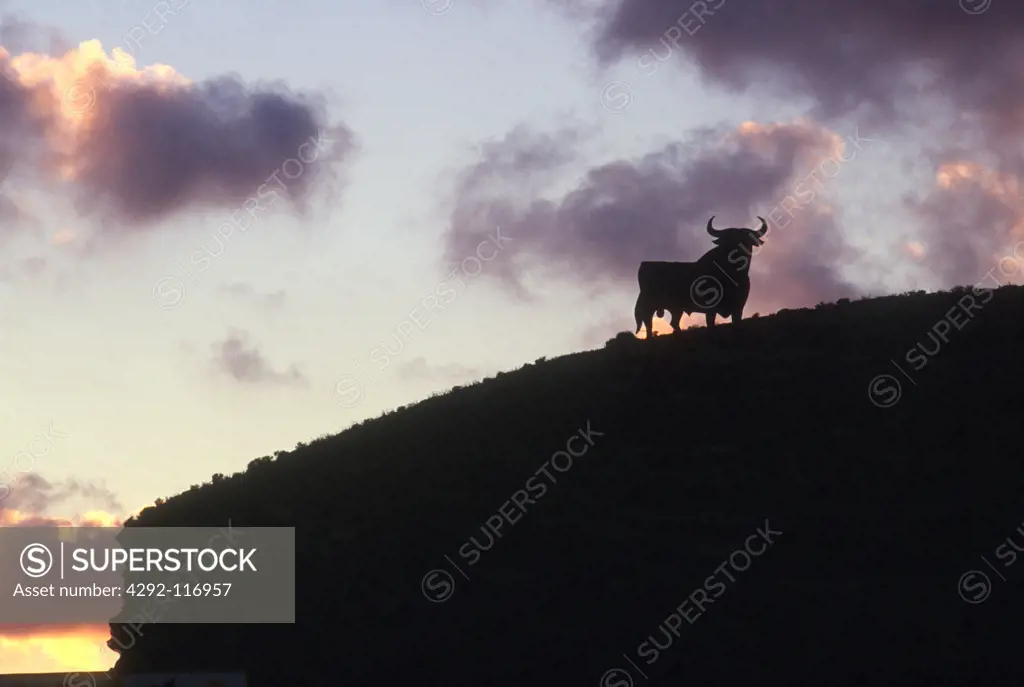 Spain, Andalousia, the Ozborne bull (Sevilla region)