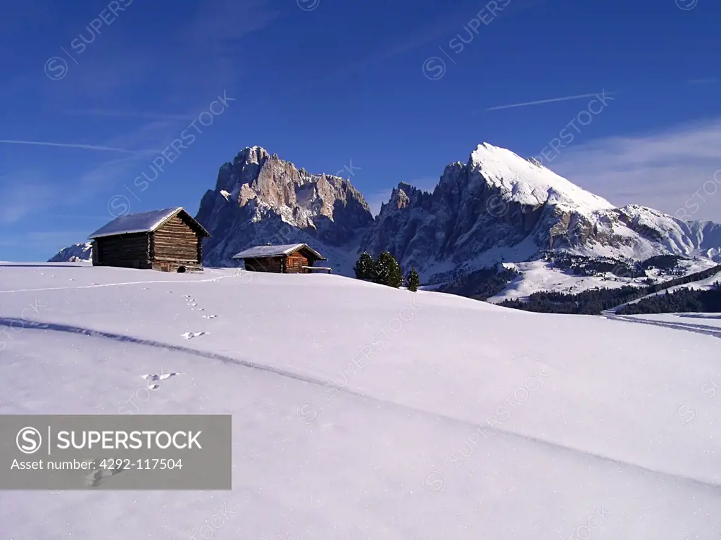 Italy, Trentino Alto Adige, Alpe di Siusi, Footprints in the Snow.