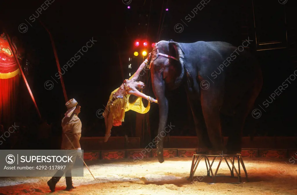 At the circus