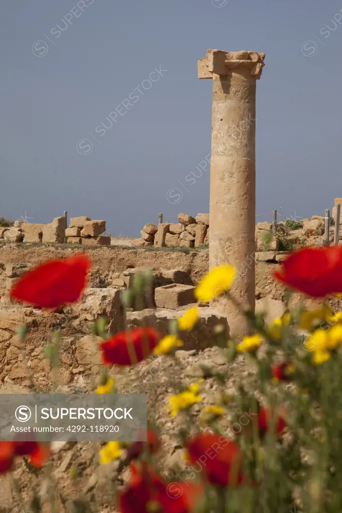 Cyprus, Kato Paphos, Roman Ruins, Roman Pillar and Flowers