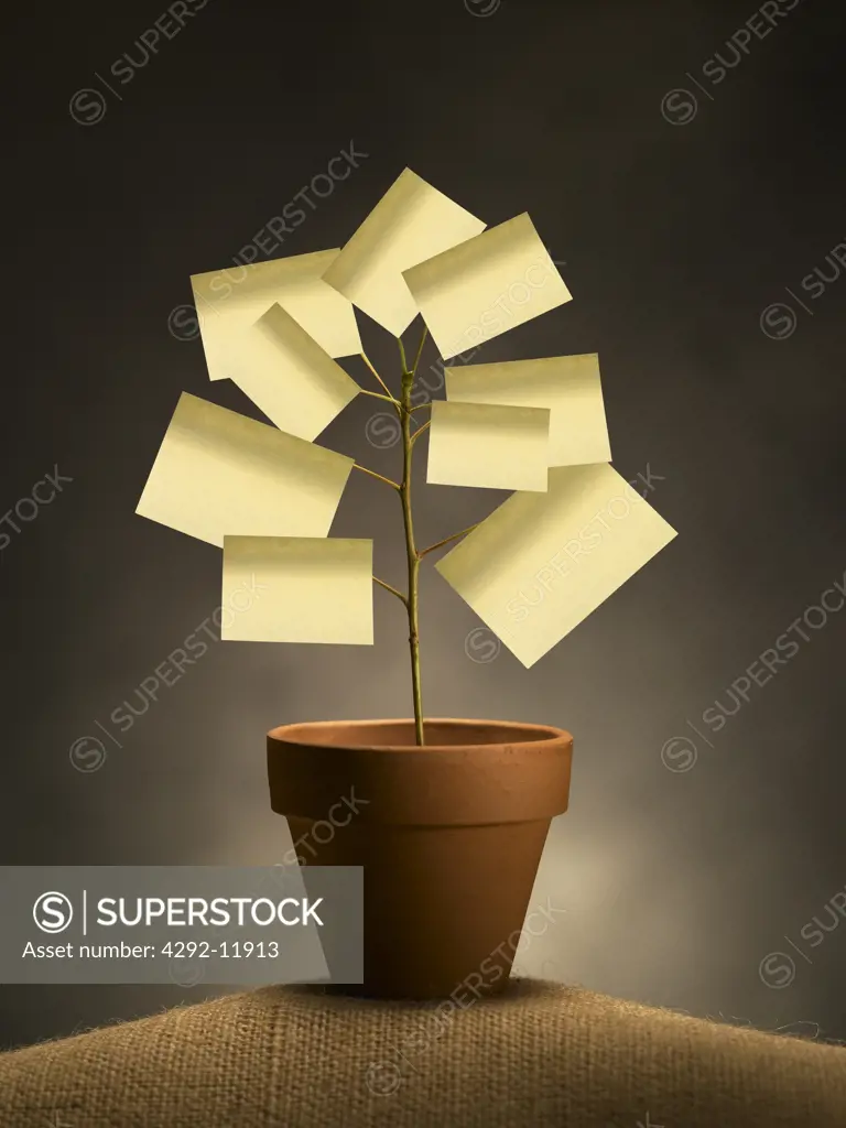 Plant of post it notes