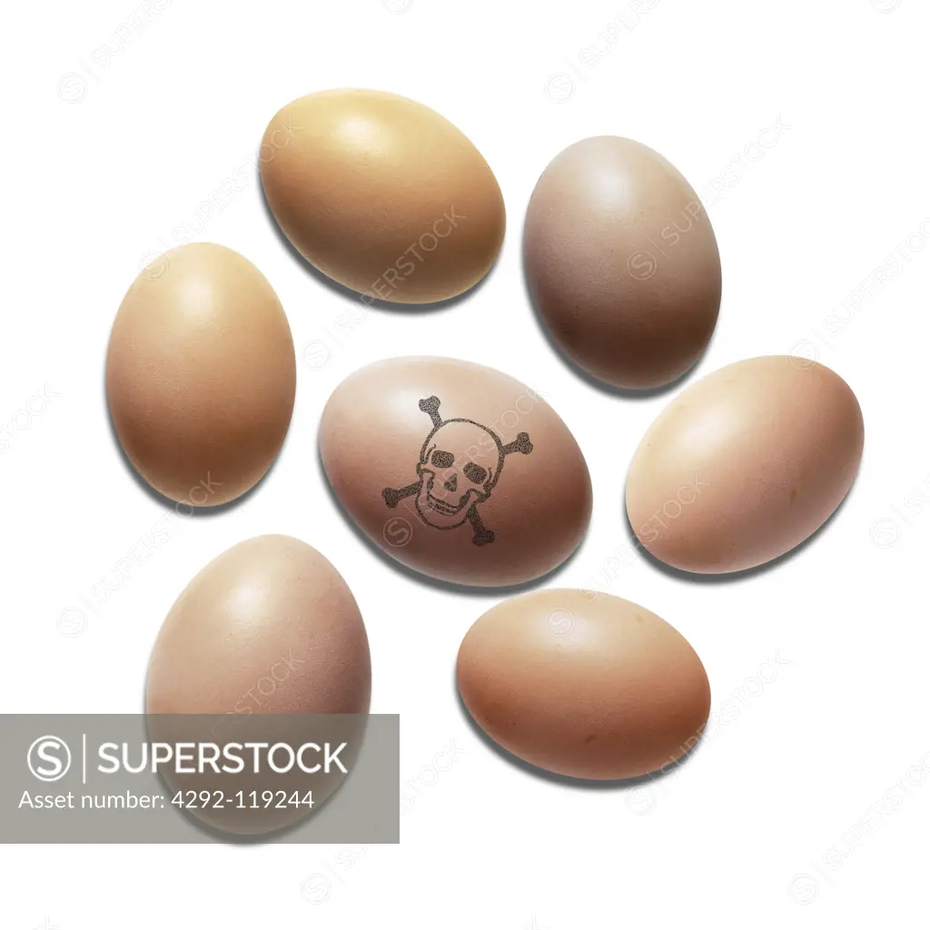 Skull and crossbones on egg
