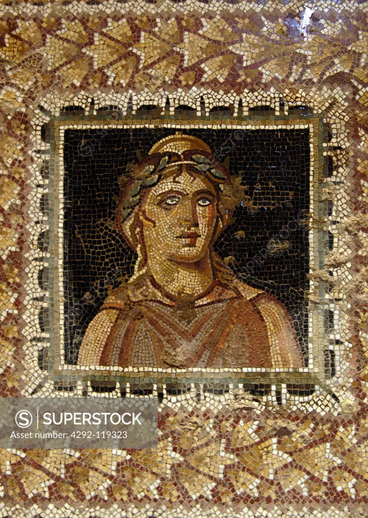 Tunisa, Bulla Regia, mosaic in the roman ruins