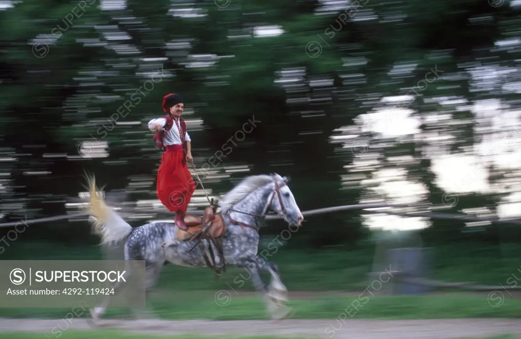 Ukraine, Zaporizhia, horse rider