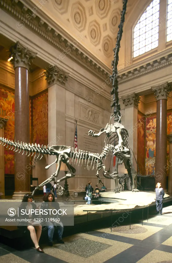 Skeleton at American Natural History Museum,USA, New York