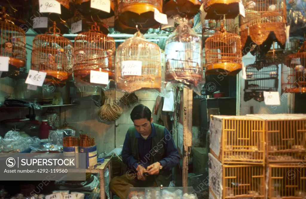 China, Hong Kong, Kowloon, Hong Lok market, birds salesman