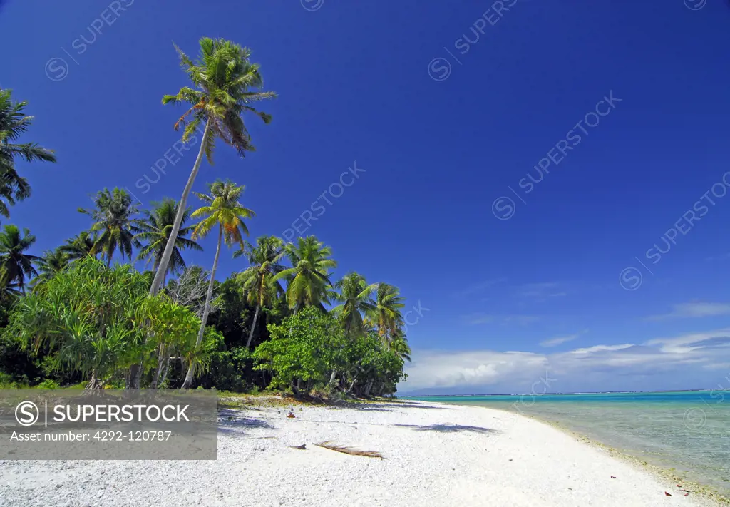 Beach in Bora Bora, French Polinesia