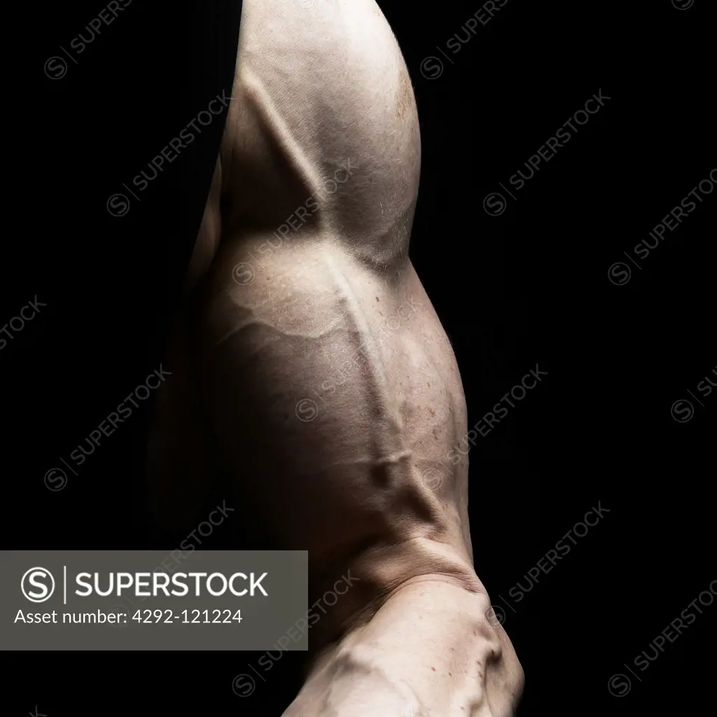 Body builder arm