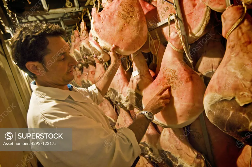 Italy, Emilia Romagna, Savignano sul Panaro. Prosciuttificio Nini Gianfranco, seasoning room of Modena ham