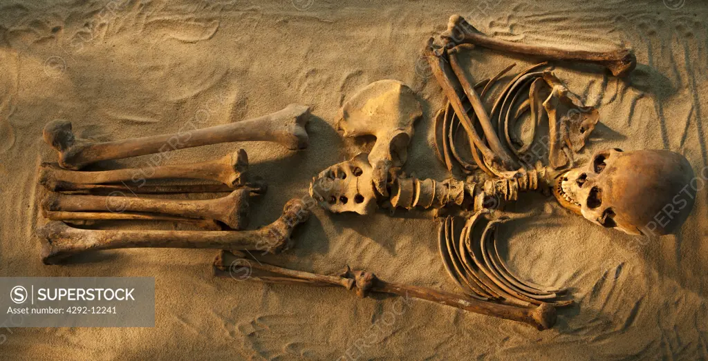 Skeleton in Kolga museum