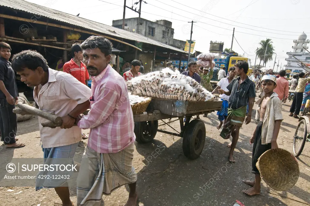 Bangladesh, men pulling cart with fish load