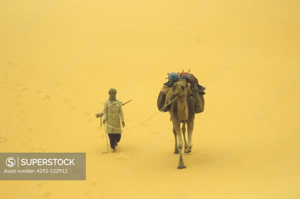 Africa, Algeria, Sahara desert,tuareg with dromedary