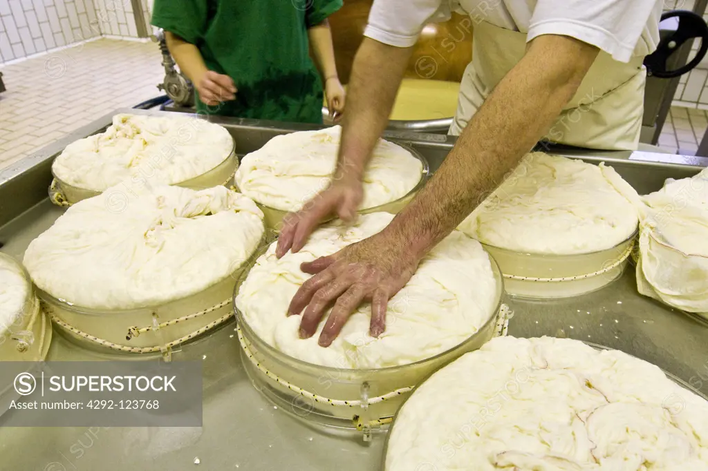 Italy, Aosta Valley, Aosta. Fontina cheese making