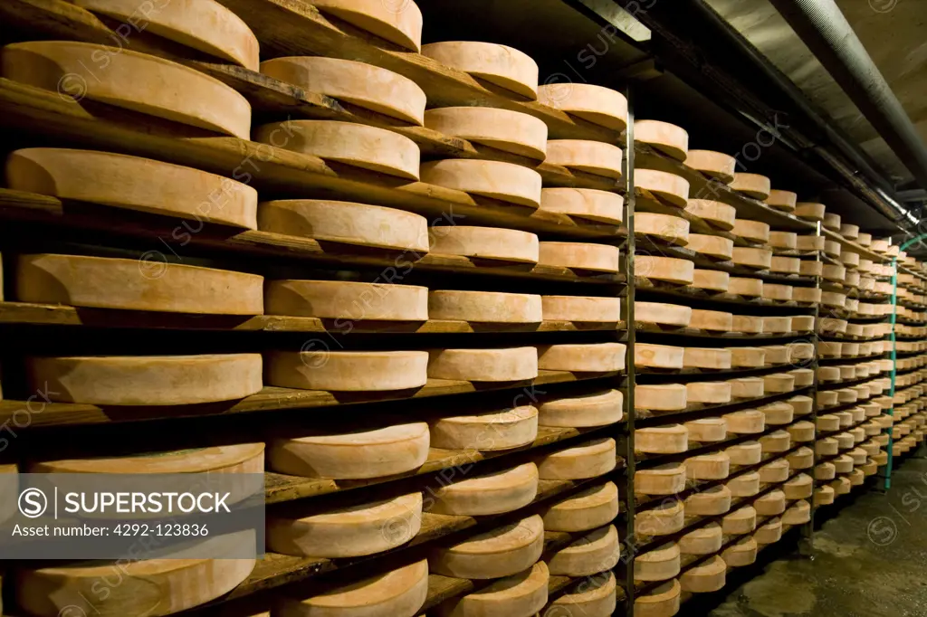 Italy, Aosta Valley, Valpelline, Fontina cheese storage room