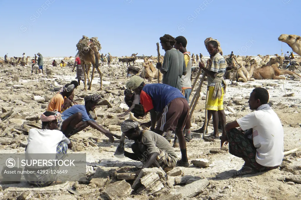 Africa, Ethiopia, Danakil, digging for salt