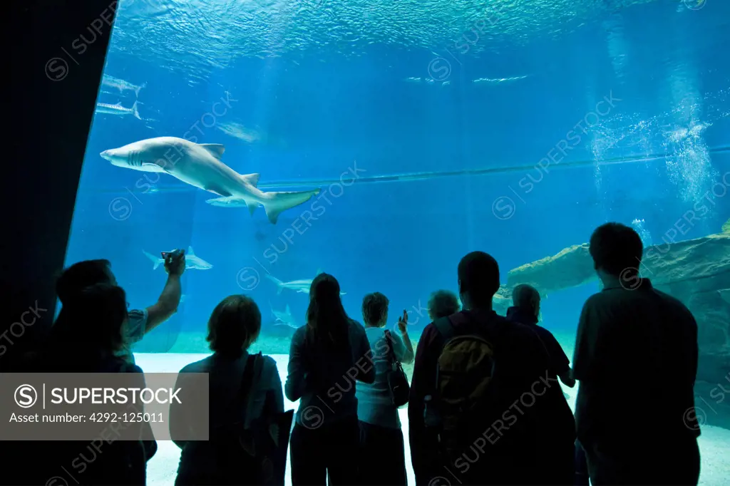 Italy, Liguria, Aquarium of Genoa, people looking at sharks