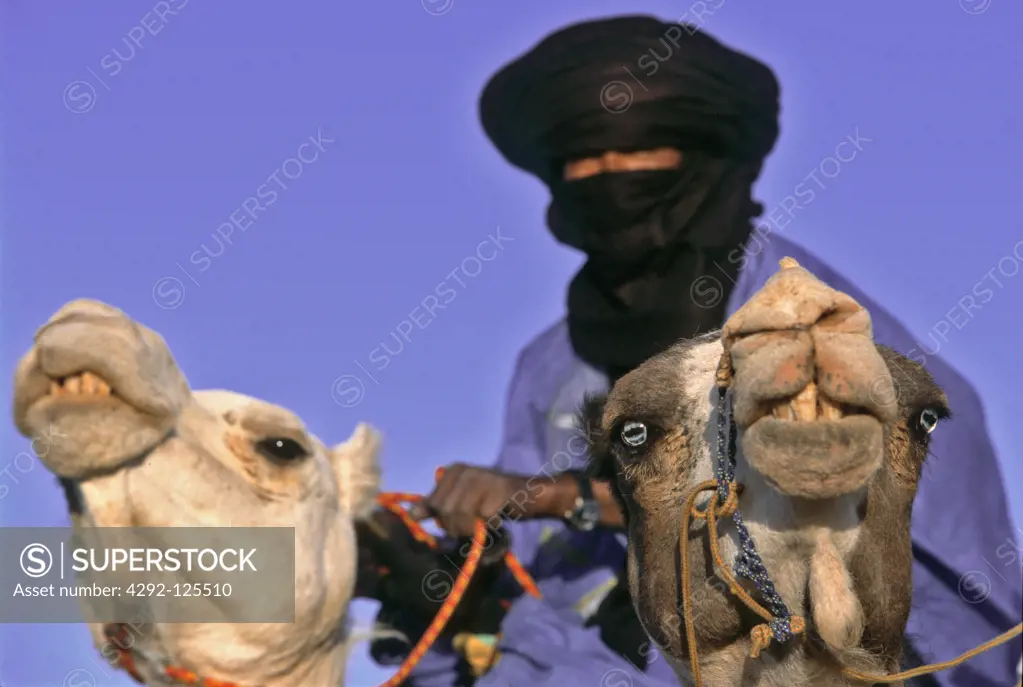 Libya, Sahara, Gath valley, Al-Awaynat tuareg riding camel